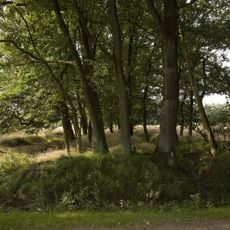 Grafheuvels 45791, Elsen