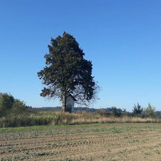 Kaplička severovýchodně od Štítného