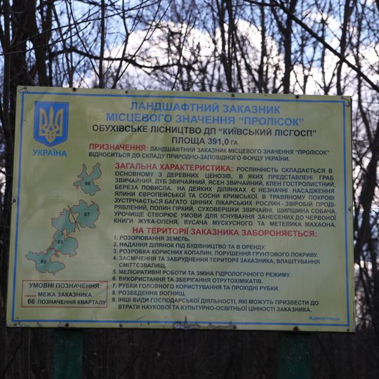 Prolisok/Berezovyy gay