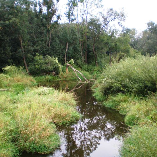 Dotnuvele Landscape Reserve