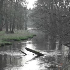 Warnowtal bei Karnin