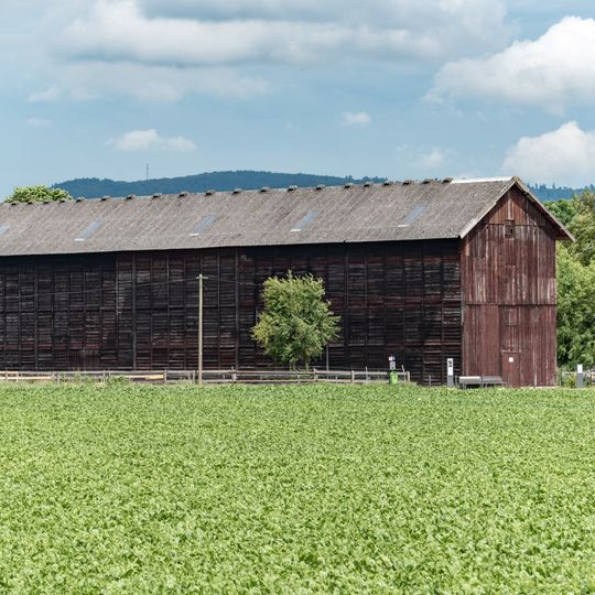 Tabakscheune, Trockenschuppen