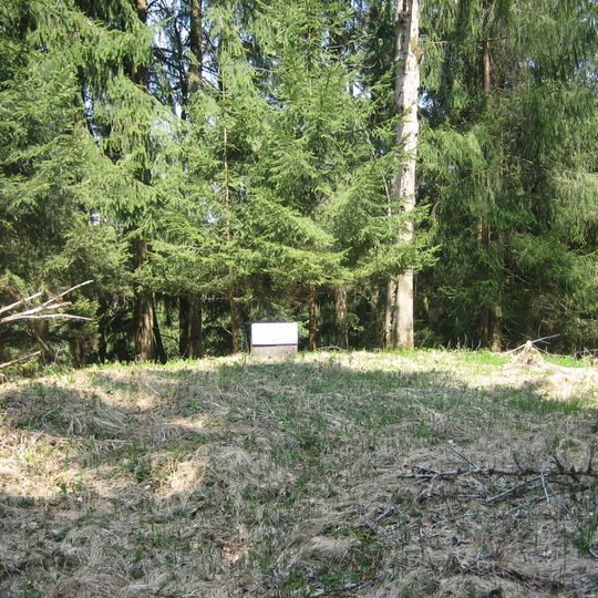 Burgstall Im Buschel