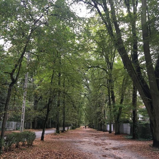 Urban layout of Podkowa Leśna