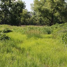 Russell R. Kirt Prairie