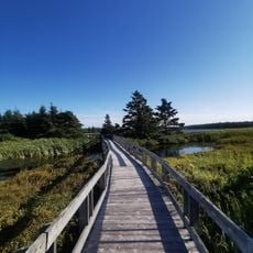 Black Duck Cove Provincial Park