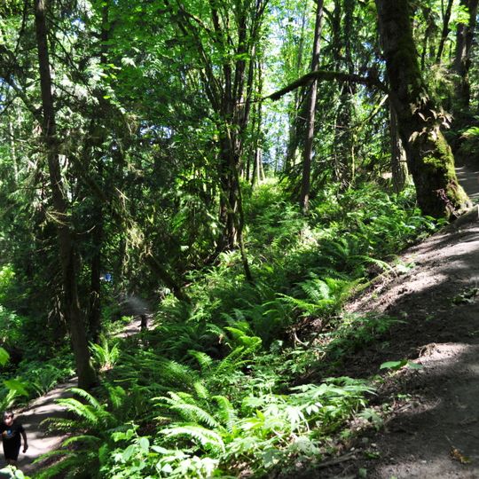 Evans Creek Preserve