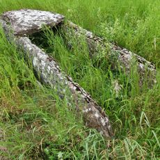 Nästegårdens hällkista, Falköping