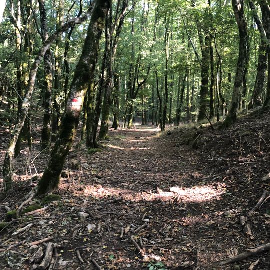 Riserva naturale Monte Penna