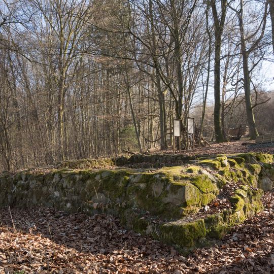 Burgus Hirschleitengraben