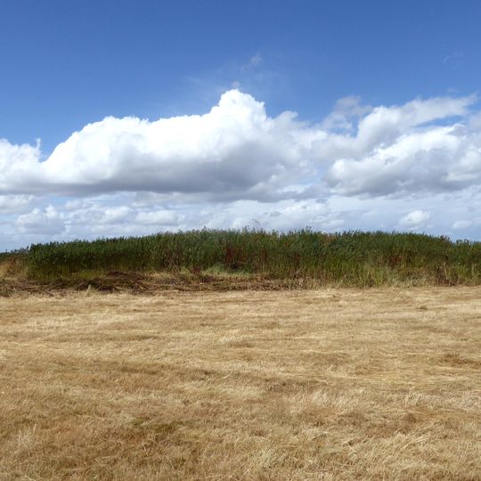 Long barrow 335m north west of Starveall Farm