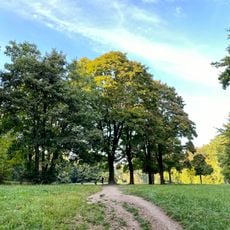 Kreuzeichenwiese