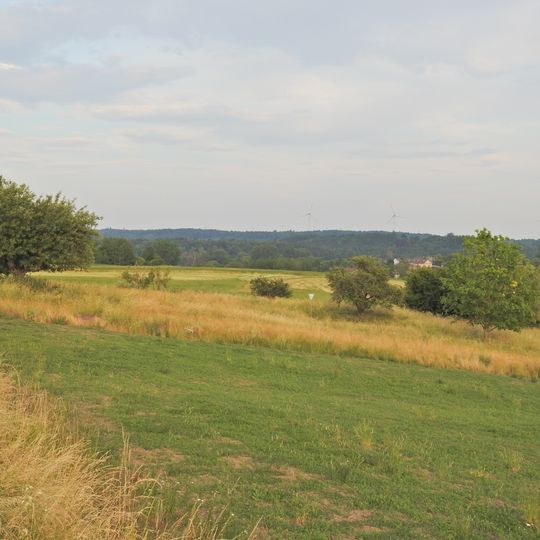 Magerrasen im Honhardter Bühl