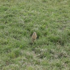 Kolín – letiště