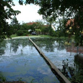 Footbridge over the pond in Velká Buková