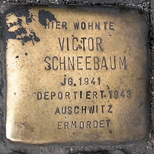Stolperstein en memoria de Victor Schneebaum