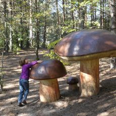 Park Grzybowy w Piłce