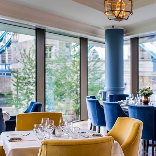 The Ivy