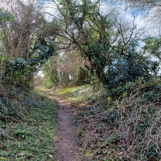 Wansdyke, section 530yds on W side of Old Dyke Lane