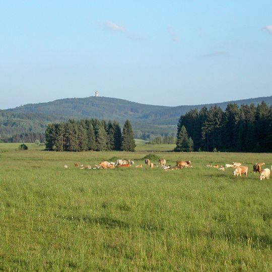 Upper Palatine Forest