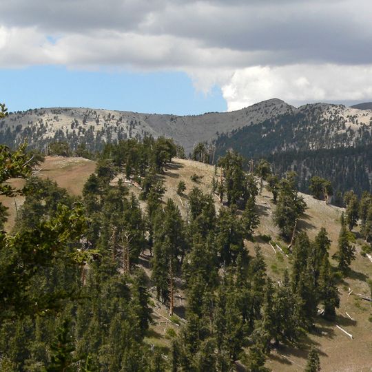 Mount Charleston Wilderness