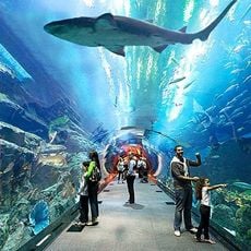 Underwater World Langkawi