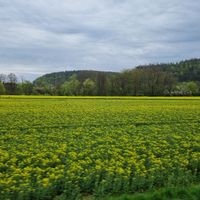 circondario di Marburgo-Biedenkopf