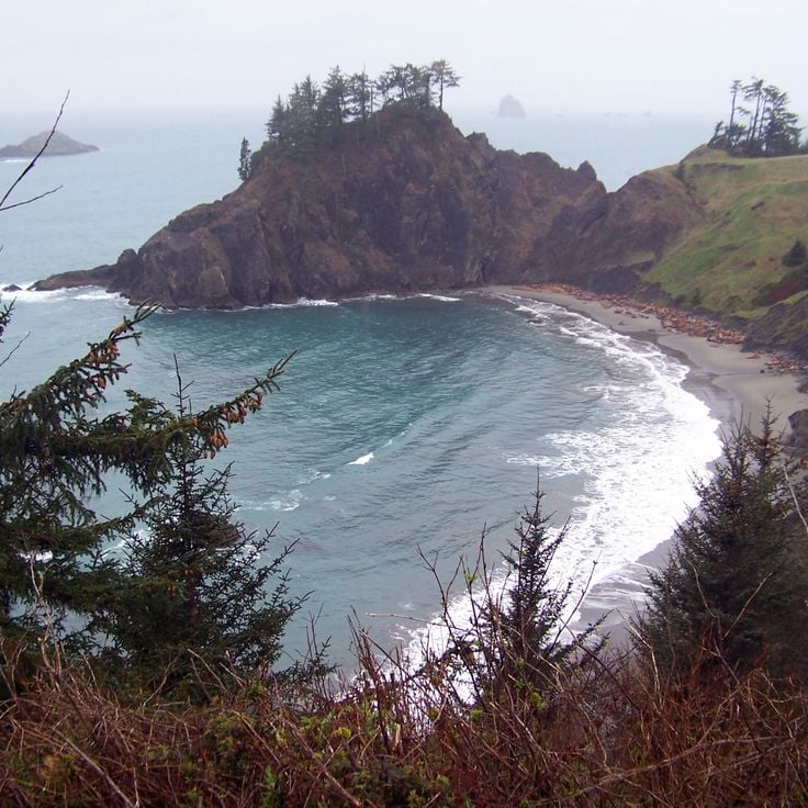 Parc d'État de Port Orford Heads