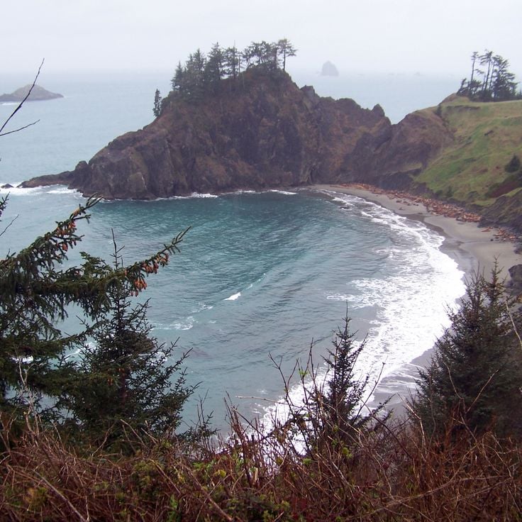 Parco Statale Port Orford Heads