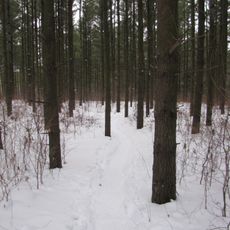 Loew Lake Unit, Kettle Moraine State Forest