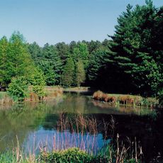 Blackbird State Forest