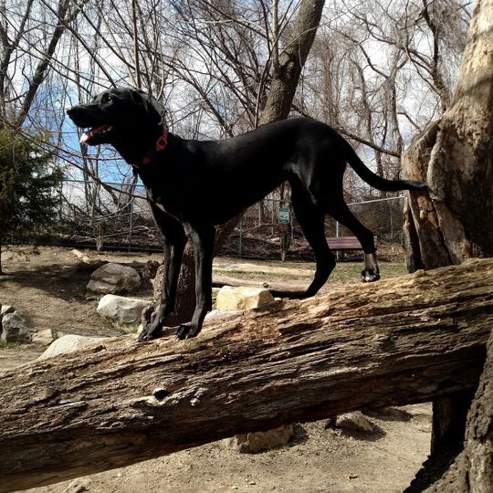 Glen Oaks Mini Water Park