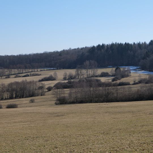 Neudorfwiesen bei Steinau