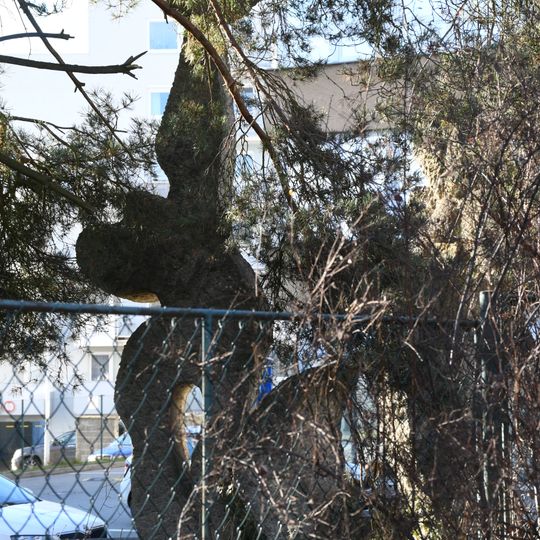 Světlo pro lidstvo / Energie ve službách míru