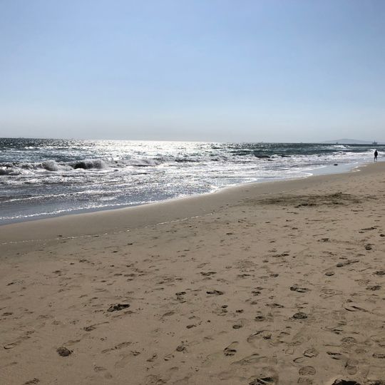 Huntington State Beach