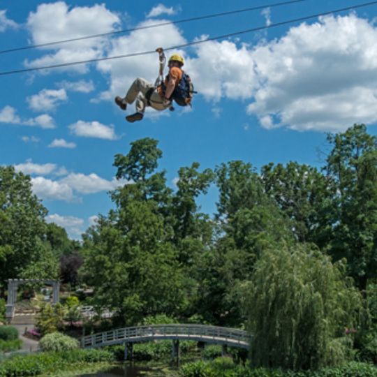 Screaming Raptor Zip Line
