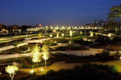 At night 1
