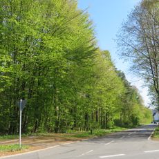 LSG-Buschbach