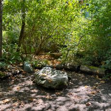 Nora's Woods