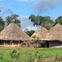 prefettura di Faranah