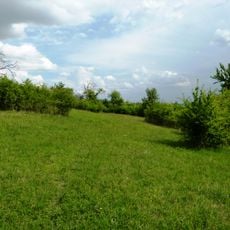 Stráně nad Suchým potokem