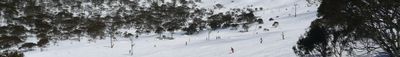 Panoramic View 1