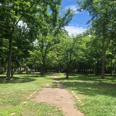 ひのまる公園