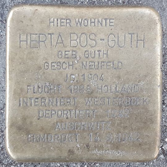 Stolperstein dedicated to Herta Bos-Guth