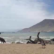 Parque Nacional Submarino La Caleta