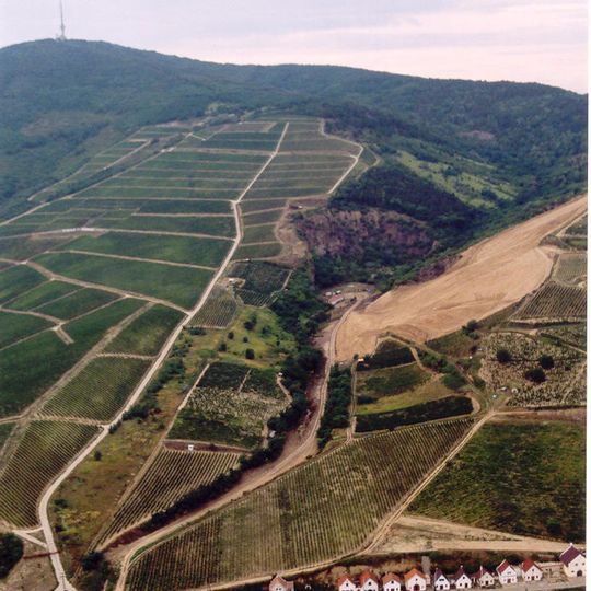 Tokaj-Hegyalja