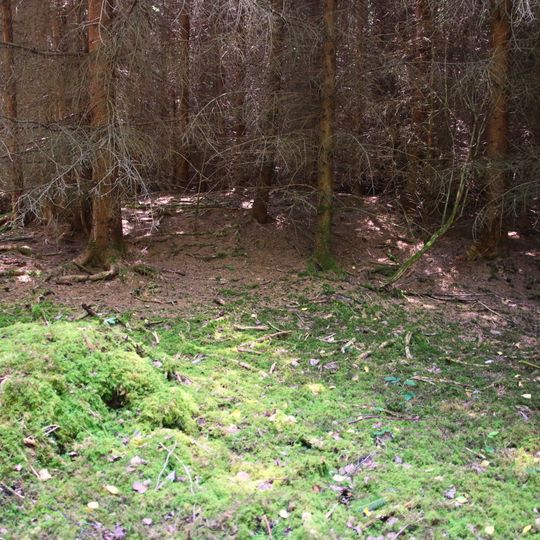 Cultural heritage D-7-8030-0008 in Waal