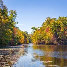 Bays Mountain Park