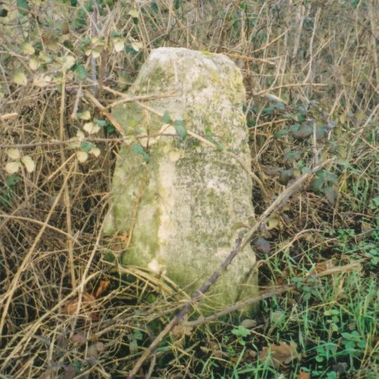 Milestone, Banbury Hill; opp entrance to Banbury Hill Farm