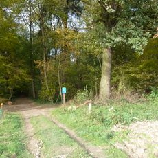 Site with traces of extraction and processing of flint in Biebosch